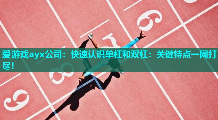 爱游戏ayx公司：快速认识单杠和双杠：关键特点一网打尽！