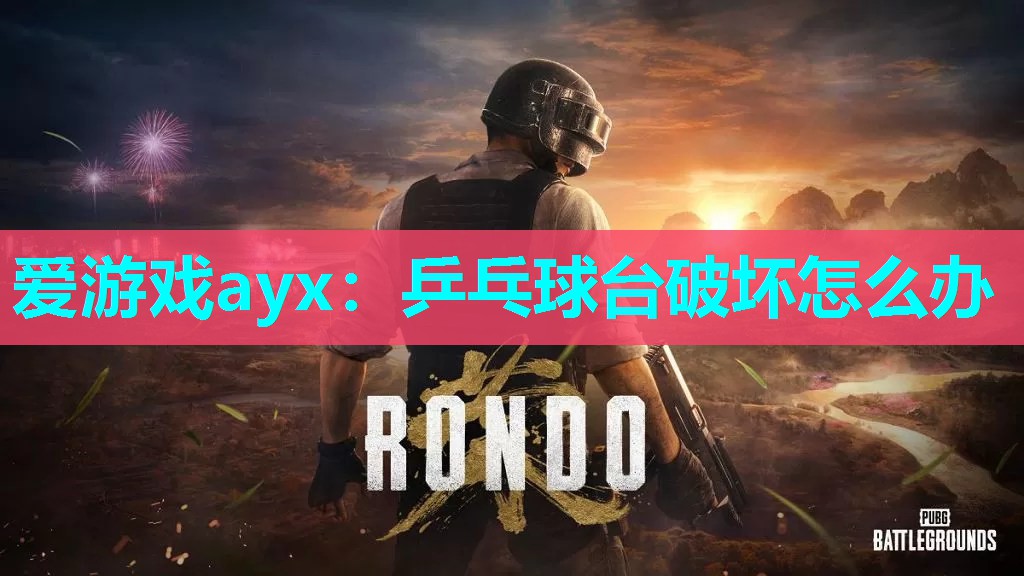 爱游戏ayx：乒乓球台破坏怎么办