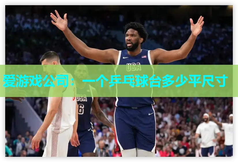 爱游戏公司：一个乒乓球台多少平尺寸