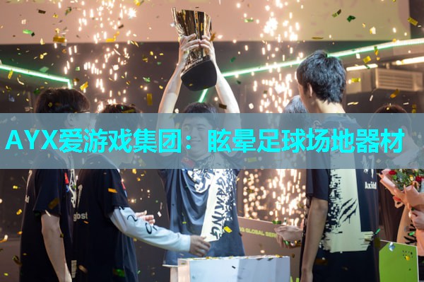 AYX爱游戏集团：眩晕足球场地器材