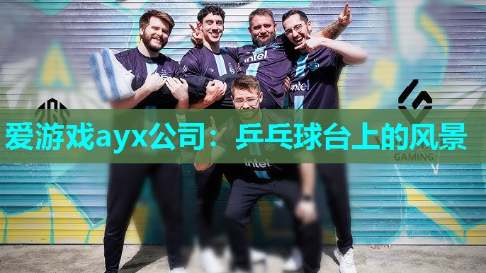 爱游戏ayx公司：乒乓球台上的风景