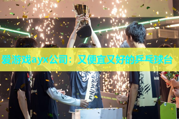 爱游戏ayx公司：又便宜又好的乒乓球台