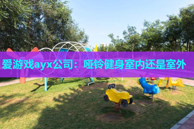 爱游戏ayx公司：哑铃健身室内还是室外