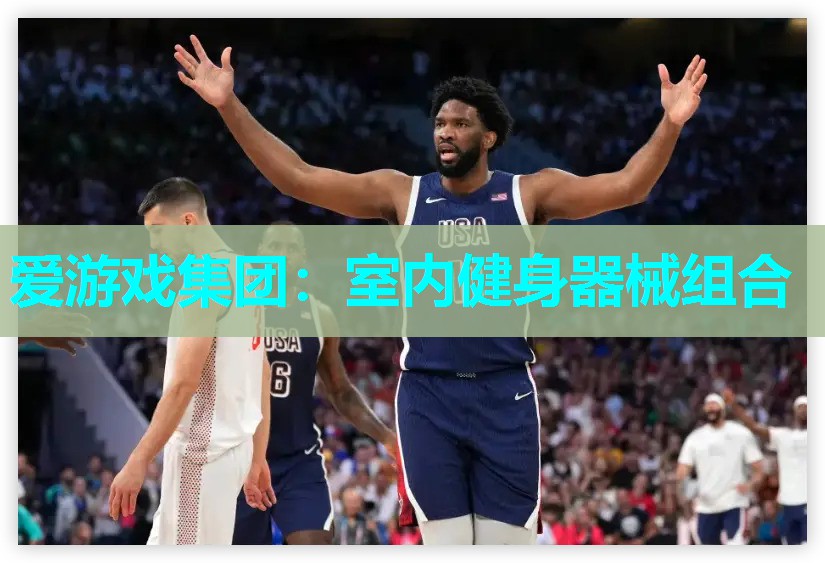 爱游戏集团：室内健身器械组合