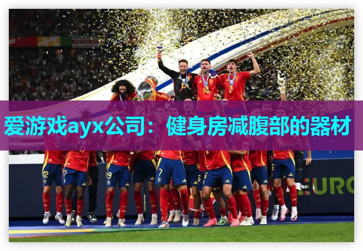 爱游戏ayx公司：健身房减腹部的器材