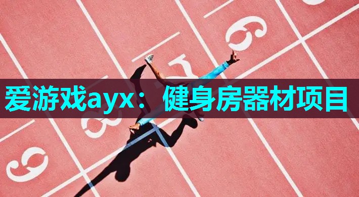爱游戏ayx：健身房器材项目