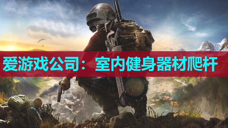 爱游戏公司：室内健身器材爬杆