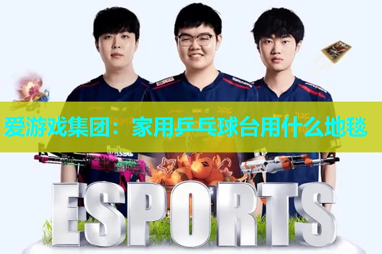 爱游戏集团：家用乒乓球台用什么地毯