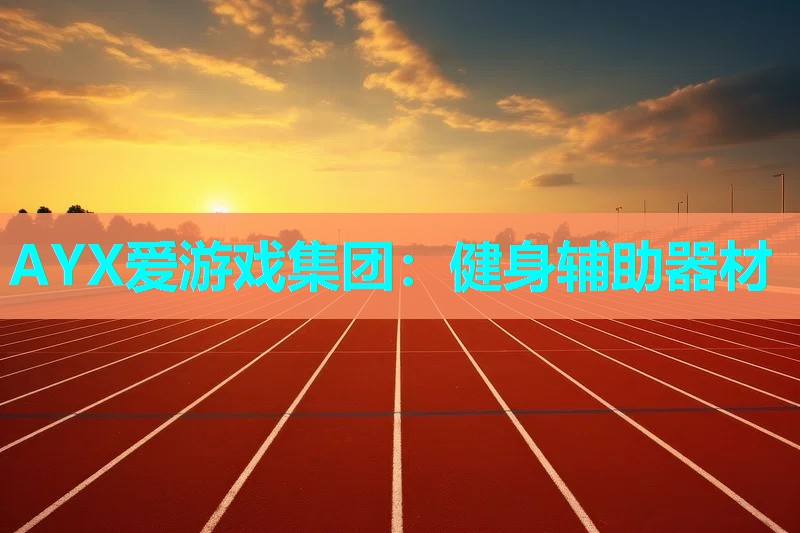 AYX爱游戏集团：健身辅助器材