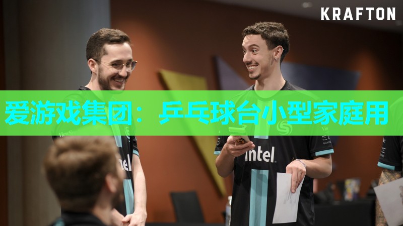 爱游戏集团：乒乓球台小型家庭用