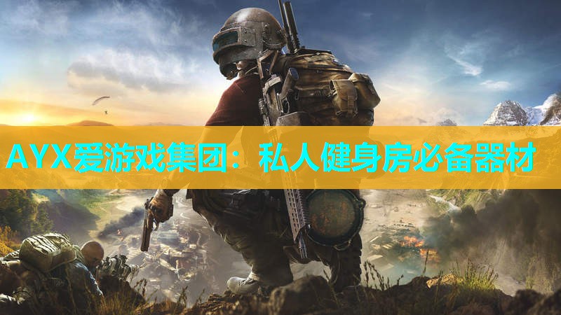 AYX爱游戏集团：私人健身房必备器材