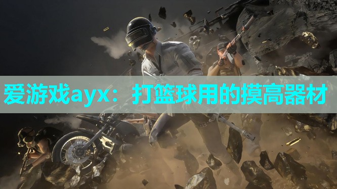 爱游戏ayx：打篮球用的摸高器材