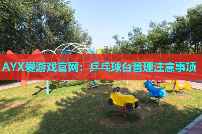 AYX爱游戏官网：乒乓球台管理注意事项