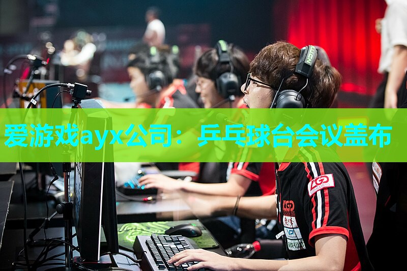 爱游戏ayx公司：乒乓球台会议盖布