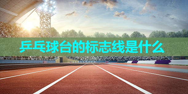 乒乓球台的标志线是什么