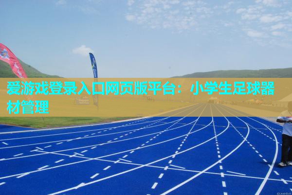 爱游戏登录入口网页版平台：小学生足球器材管理