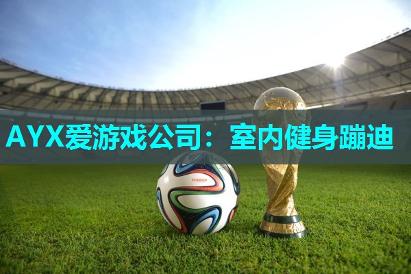 AYX爱游戏公司：室内健身蹦迪