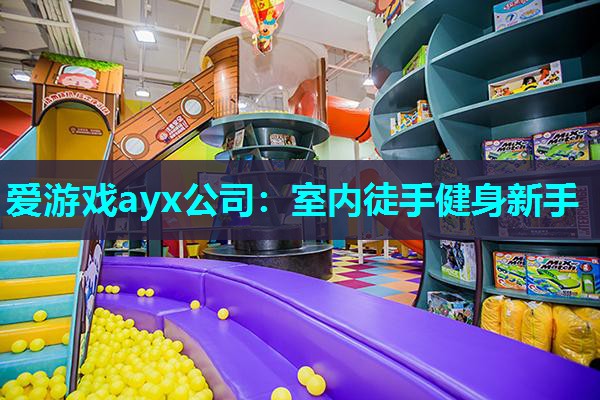 爱游戏ayx公司：室内徒手健身新手