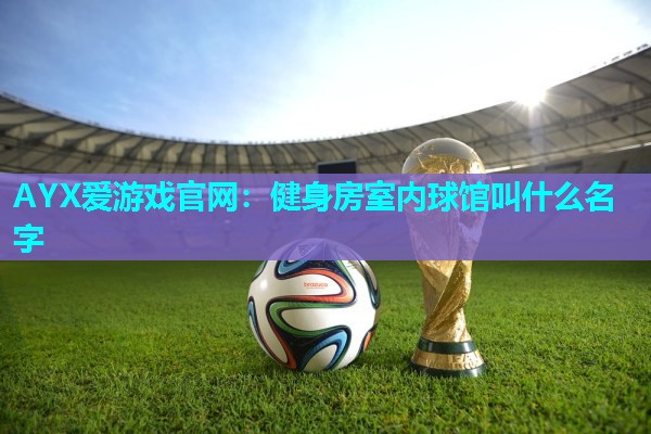 AYX爱游戏官网：健身房室内球馆叫什么名字