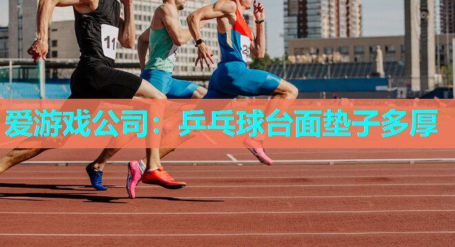 爱游戏公司：乒乓球台面垫子多厚