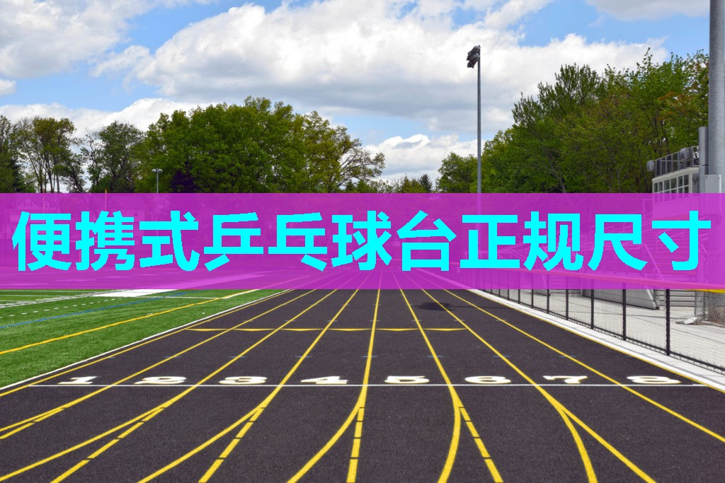 便携式乒乓球台正规尺寸