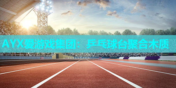 AYX爱游戏集团：乒乓球台聚合木质