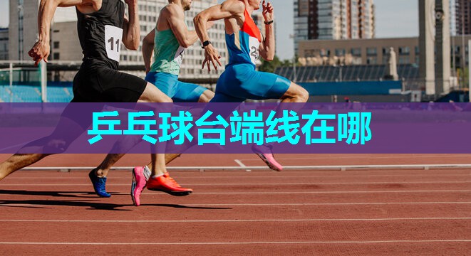 乒乓球台端线在哪