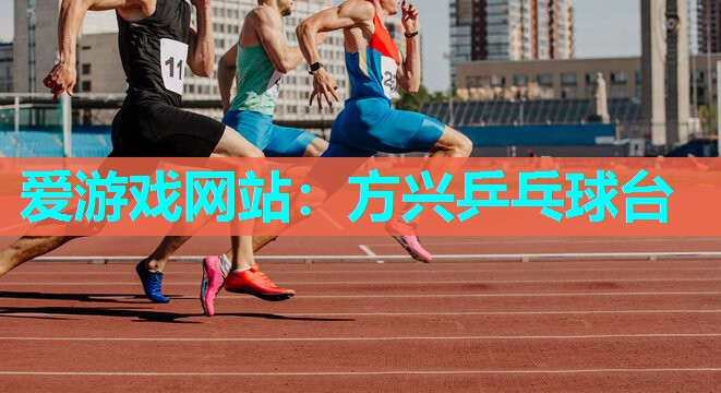 爱游戏网站：方兴乒乓球台