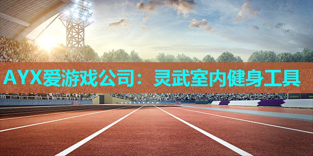 AYX爱游戏公司：灵武室内健身工具