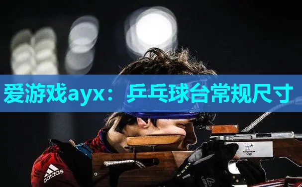 爱游戏ayx：乒乓球台常规尺寸