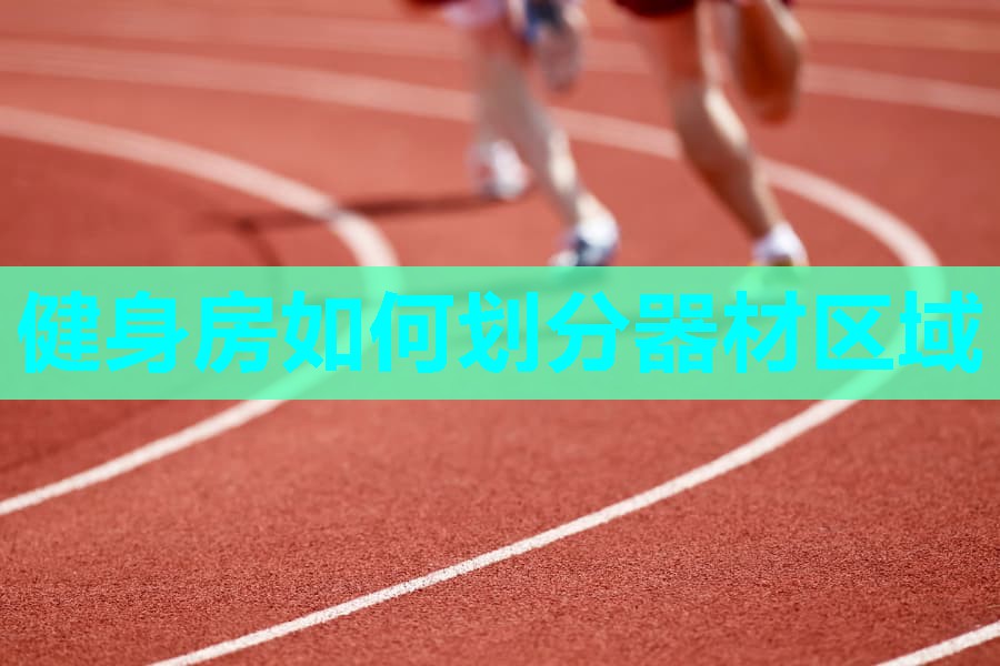 健身房如何划分器材区域