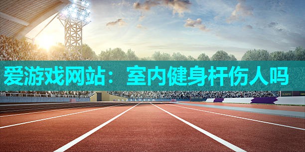 爱游戏网站：室内健身杆伤人吗