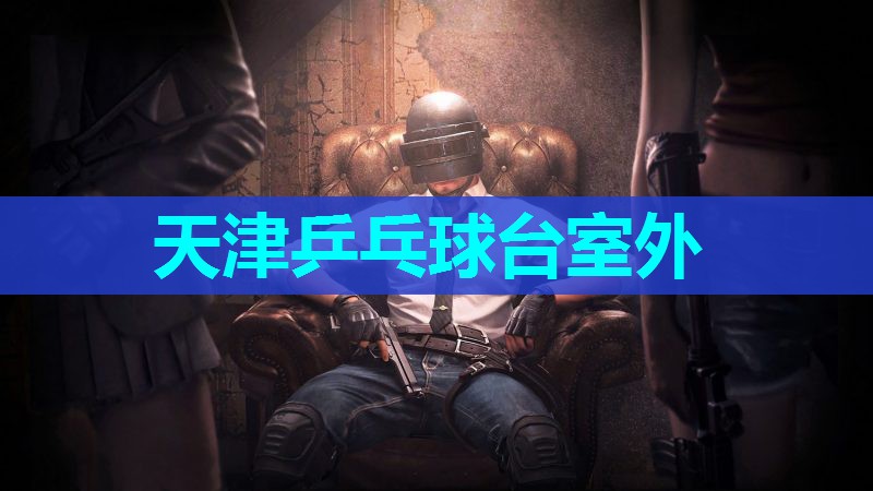 天津乒乓球台室外