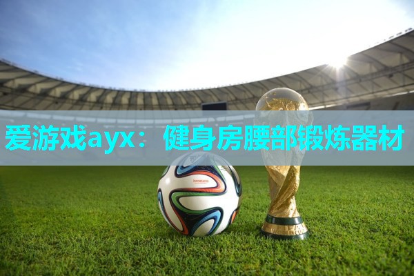 爱游戏ayx：健身房腰部锻炼器材