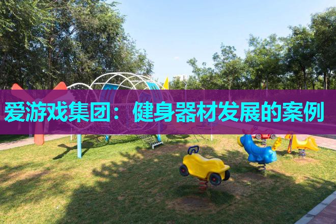 爱游戏集团：健身器材发展的案例