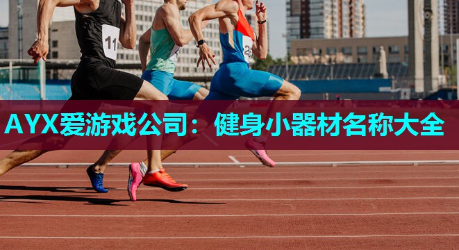 AYX爱游戏公司：健身小器材名称大全