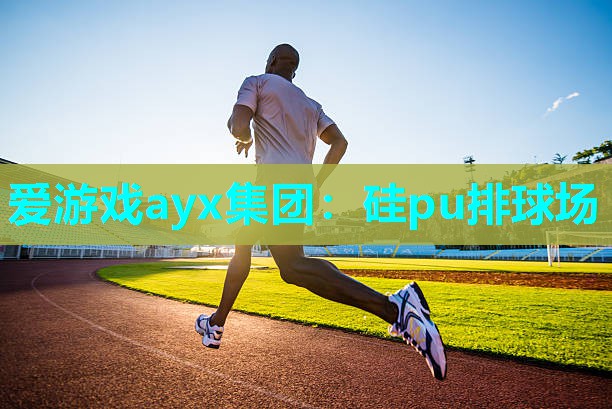 爱游戏ayx集团：硅pu排球场