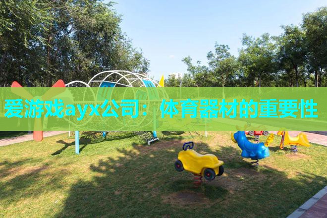 爱游戏ayx公司：体育器材的重要性