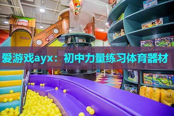 爱游戏ayx：初中力量练习体育器材