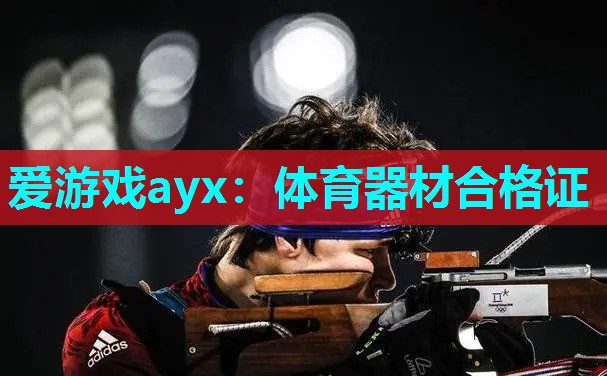 爱游戏ayx：体育器材合格证