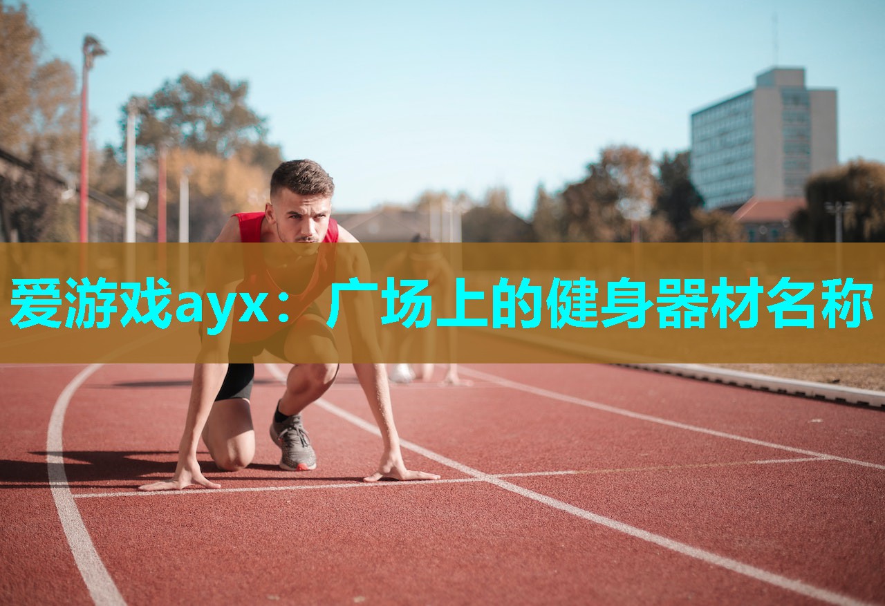 爱游戏ayx：广场上的健身器材名称