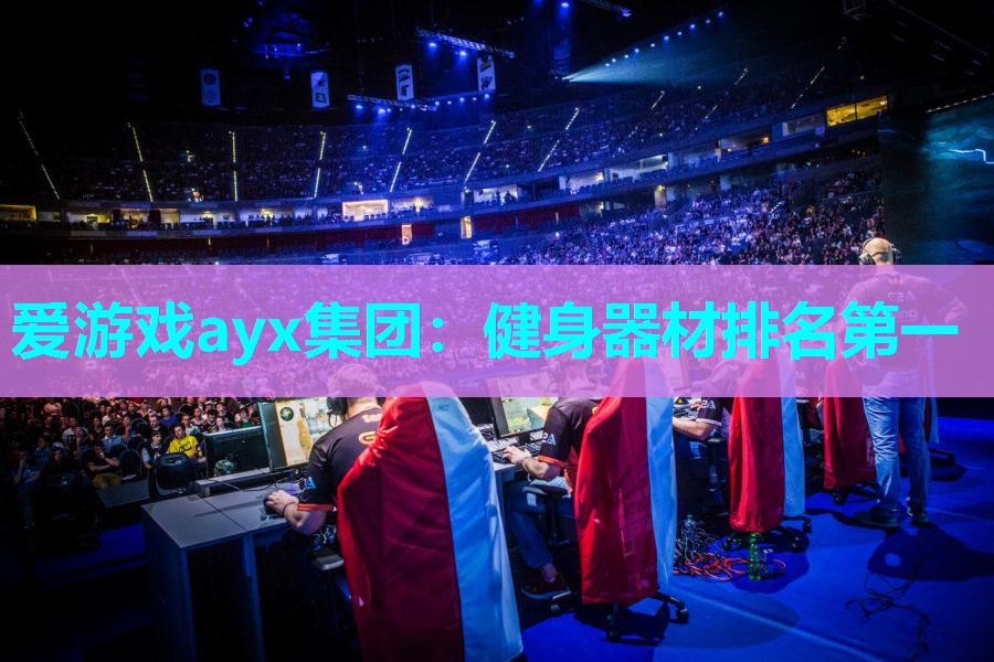 爱游戏ayx集团：健身器材排名第一