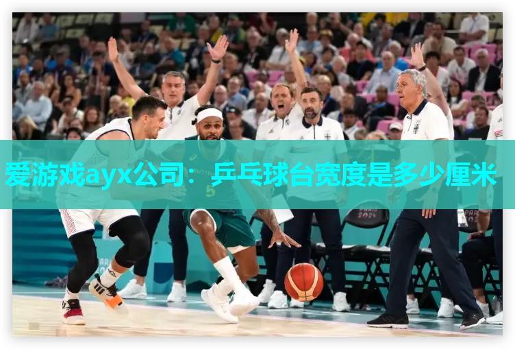 爱游戏ayx公司：乒乓球台宽度是多少厘米