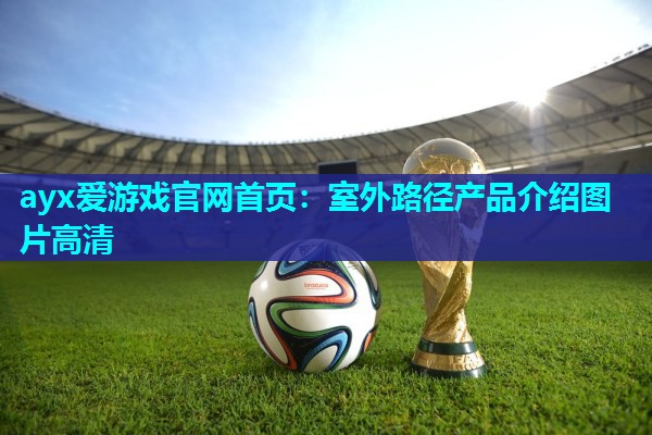ayx爱游戏官网首页：室外路径产品介绍图片高清