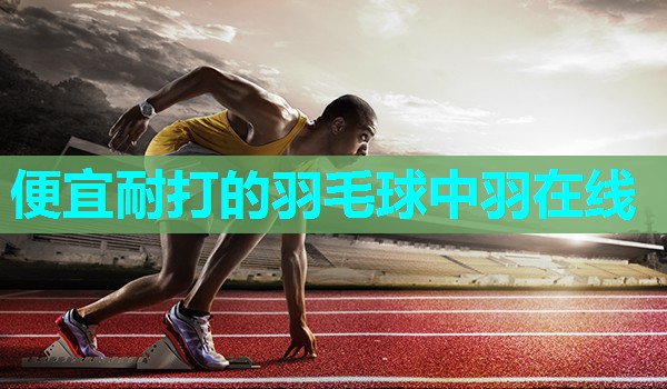 便宜耐打的羽毛球中羽在线