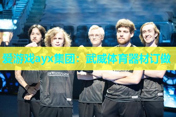 爱游戏ayx集团：武威体育器材订做