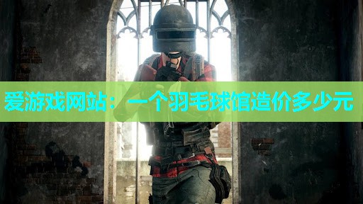 爱游戏网站：一个羽毛球馆造价多少元
