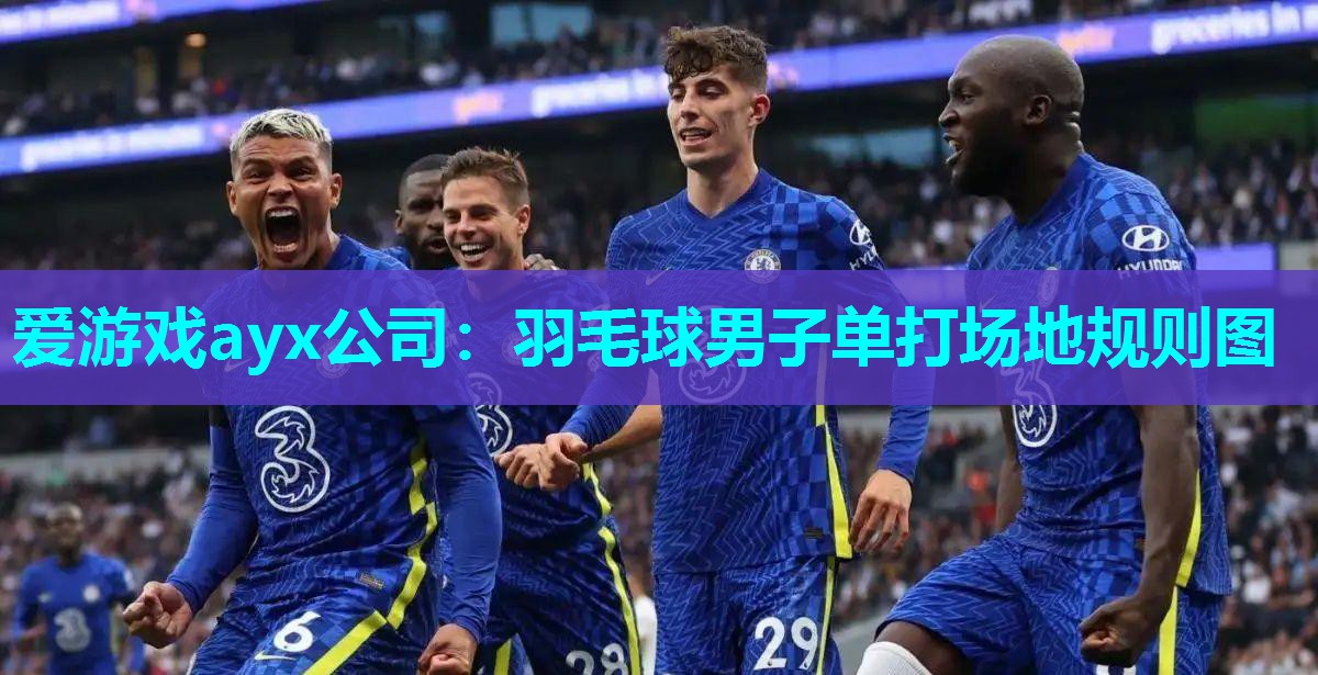 爱游戏ayx公司：羽毛球男子单打场地规则图