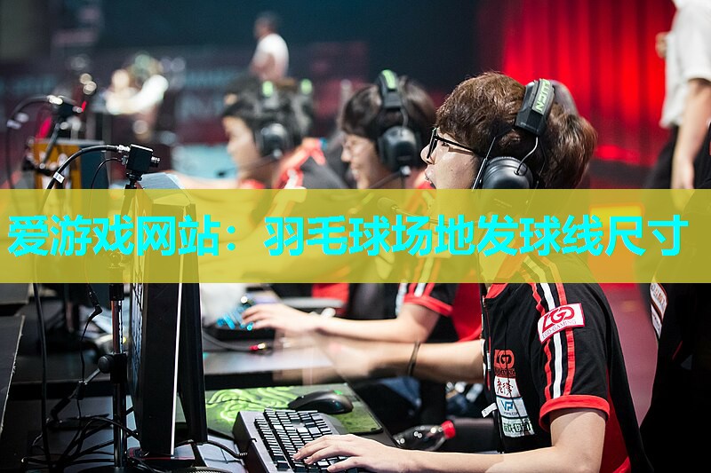 爱游戏网站：羽毛球场地发球线尺寸