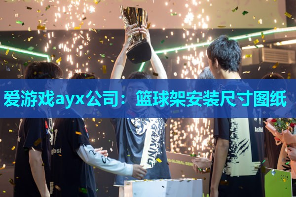 爱游戏ayx公司：篮球架安装尺寸图纸